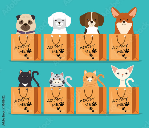 dogs and cats pets in adoption bags characters