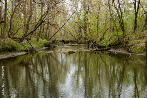 River in green forest on spring © olyasolodenko