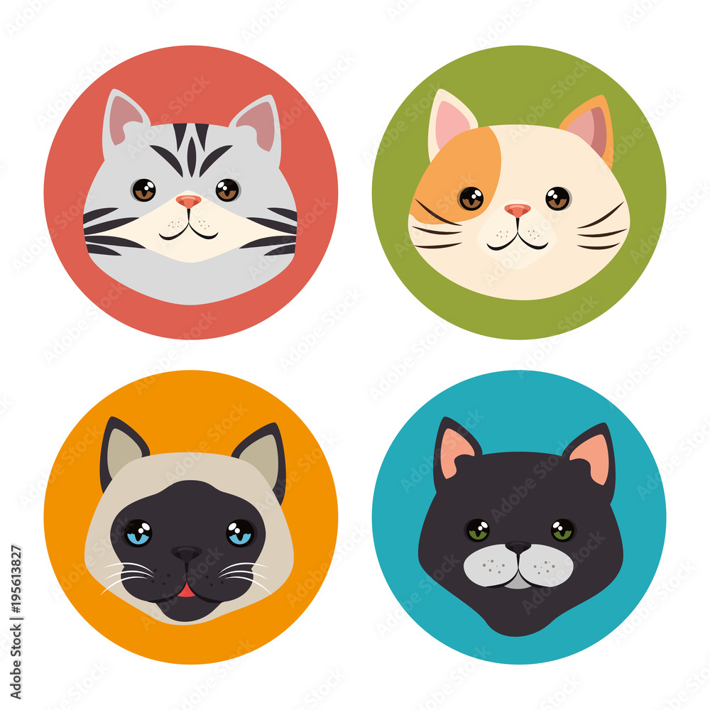 cute cats pets characters