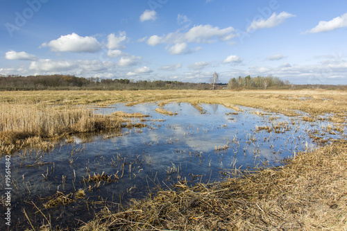 Water on a swampy meadow