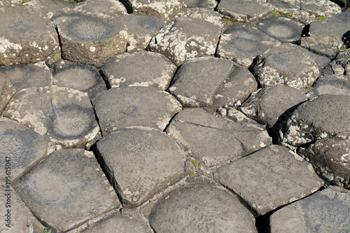 naturalne formacje skalne niczym kamienne schody w grobli olbrzyma w irlandii