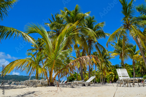 White beach with sunbeds, many palms, blue sky and turquoise ocean in the caribbean sea, Dominican Republic