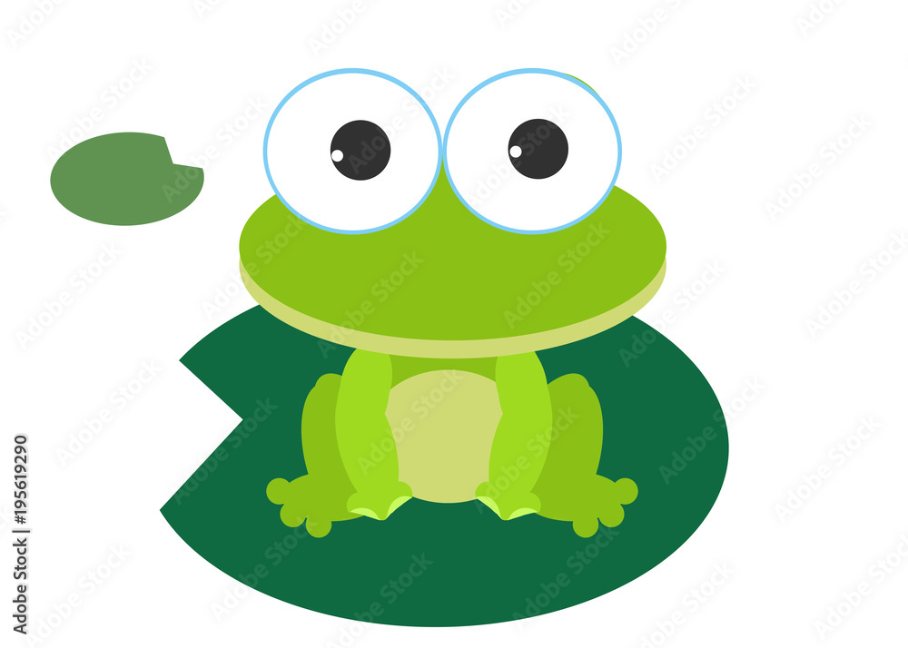 Fototapeta premium カエル