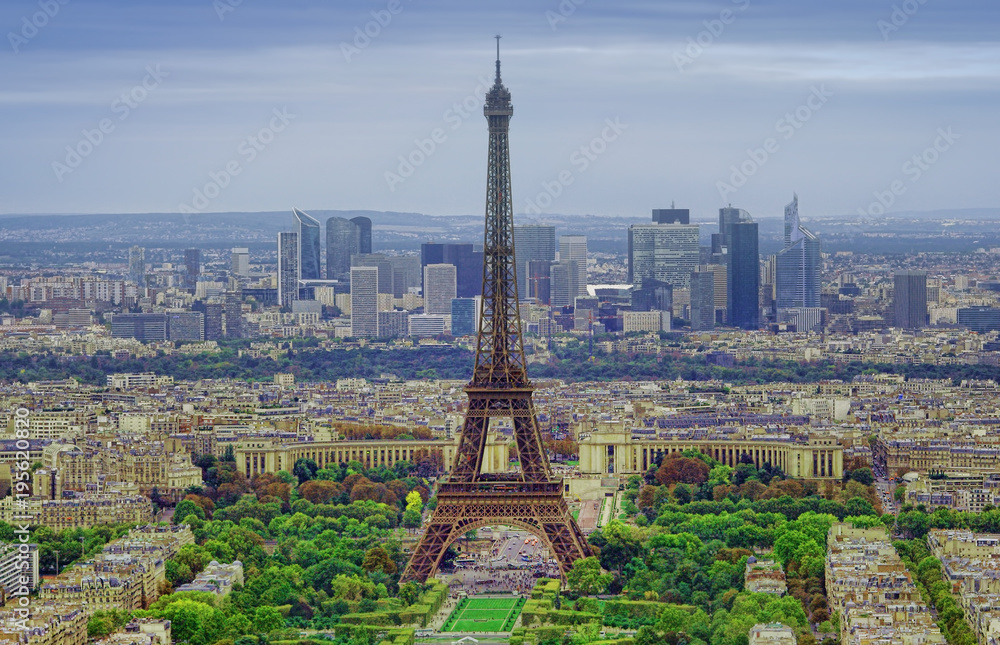aerial view of Eiffel Tower, landmark of Paris, France