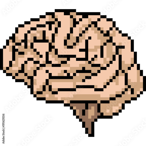 vector pixel art brain