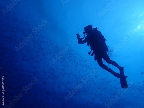 Wallpaper Mural scuba diver Torontodigital.ca