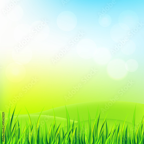 Nature background with grass, leaves and sky. Vector illustration. 