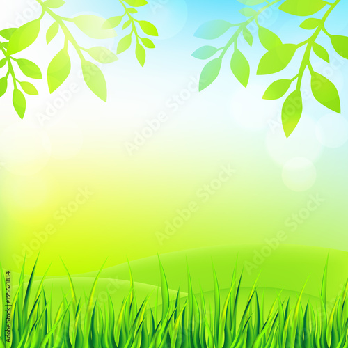 Nature background with grass, leaves and sky. Vector illustration. 