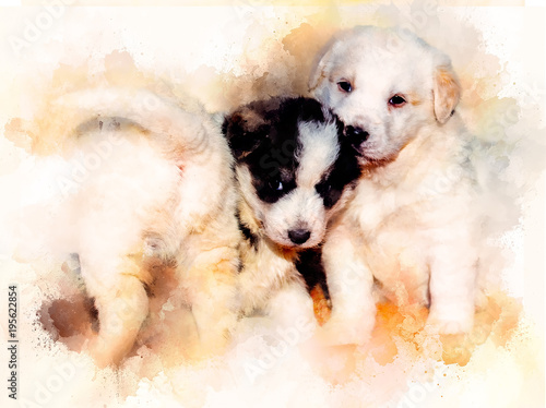 Beautiful adorable group of shepherd dog puppies and softly blurred watercolor background. photo