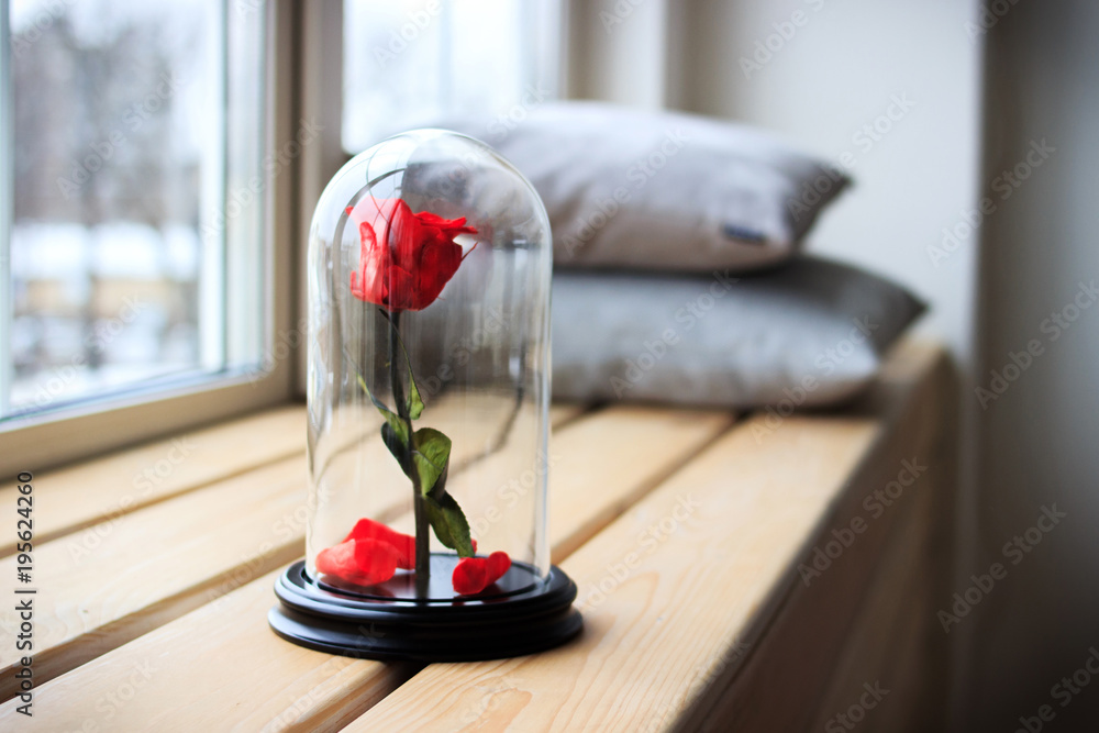 Red rose in a flask. Long-lasting rose Red rose in a flask. Long-lasting rose