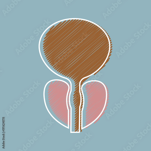 vector illustration of prostatitis. sexual infections, prostate. Styling hatching