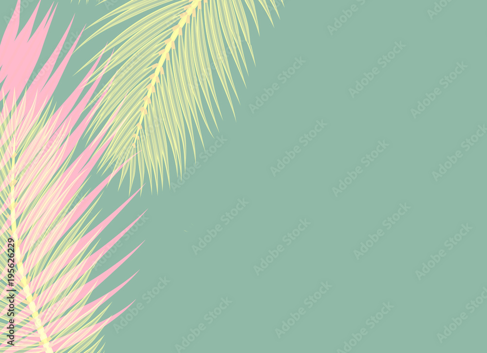 pink and yellow Palms leafs blue background concept pink and yellow Palms leafs blue background concept