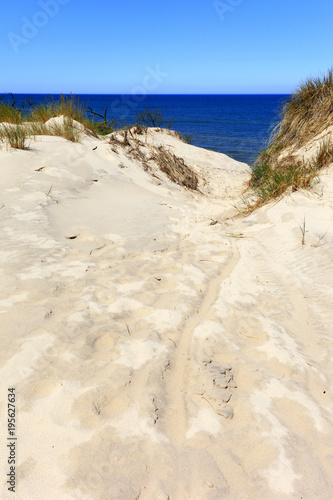 Fototapeta Naklejka Na Ścianę i Meble -  Grassy sand dunes and beach of Baltic Sea central shore near town of Rowy in Poland