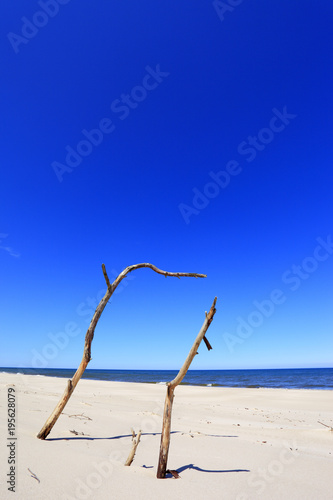 Dry tree remaining on sand dunes and beach of Baltic Sea central shore near town of Rowy in Poland