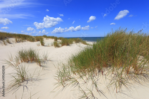 Grassy sand dunes and beach of Baltic Sea central shore near town of Rowy in Poland