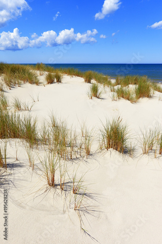 Fototapeta Naklejka Na Ścianę i Meble -  Grassy sand dunes and beach of Baltic Sea central shore near town of Rowy in Poland