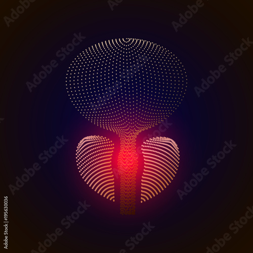 Vector isolated prostate with pain center. 3D white human organ . Medicine concept with line. vector illustration of prostatitis. sexual infections, prostate.