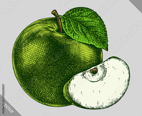 Engrave isolated apple hand drawn graphic vector illustration
