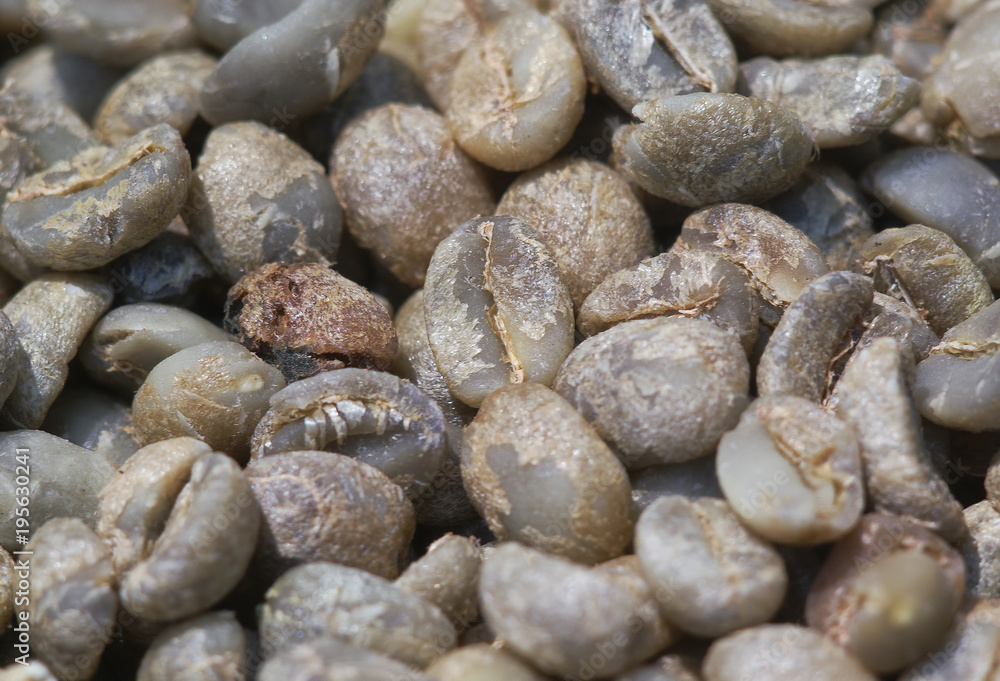 coffee bean for background and design coffee bean for background and design