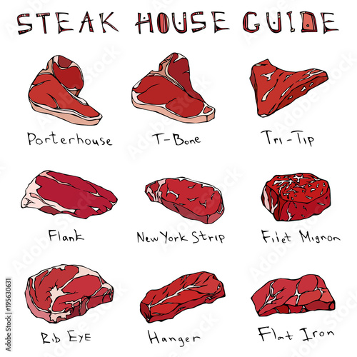 Most Popular Steak Types Set. Beef Cuts. Top Meat Guide for Butcher Shop or Steak House Restaurant Menu. Hand Drawn Illustration. Savoyar Doodle Style. Porterhouse, T-bone, New York Strip, Rib Eye.