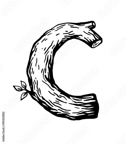 Black engraving Letter C made of wood with leaves on the white background
