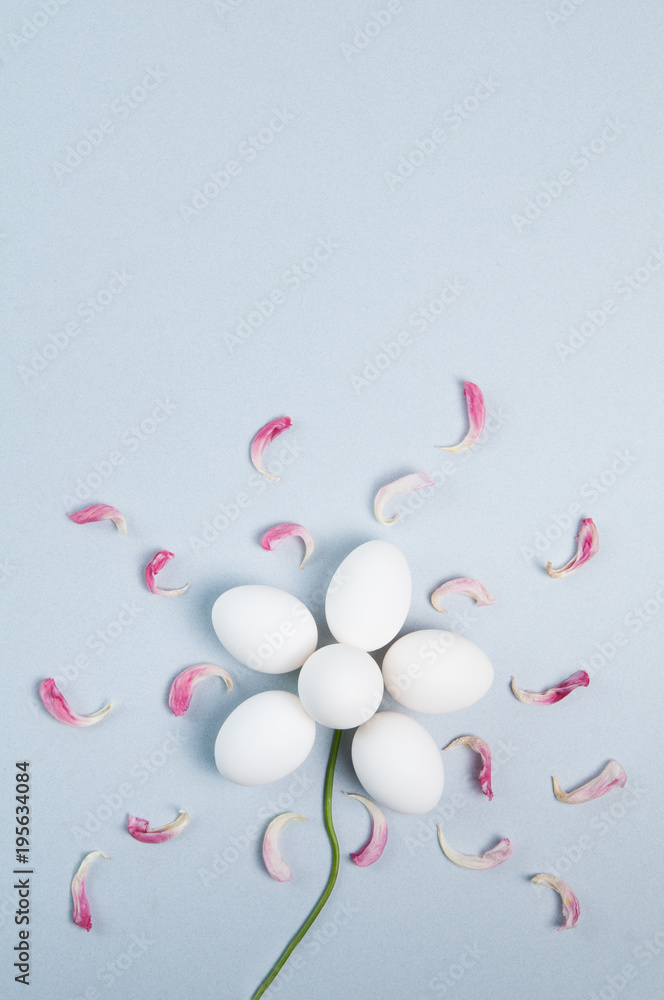 flower design made of eggs on a blue background
