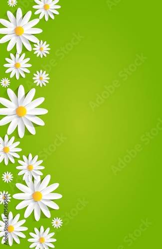 Spring Flowers On Green Background vector illustration