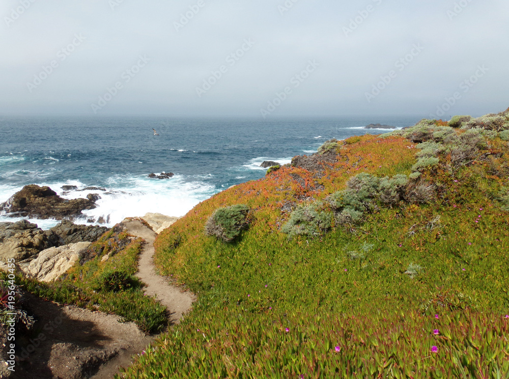 Hiking Path Along the California Coastal Cliffs - Road Trip Down Highway 1 Discovery Route Hiking Path Along the California Coastal Cliffs - Road Trip Down Highway 1 Discovery Route