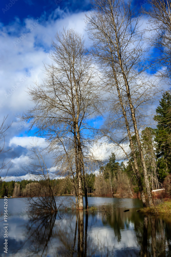 Obraz premium white clouds over lake