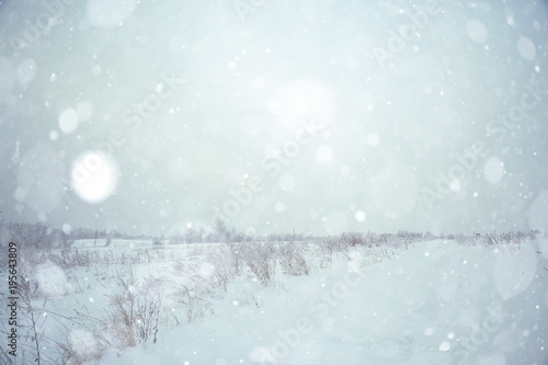 winter snow field grass landscape