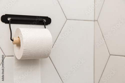A white roll of soft toilet paper neatly hanging on a modern chrome holder on a light bathroom wall.