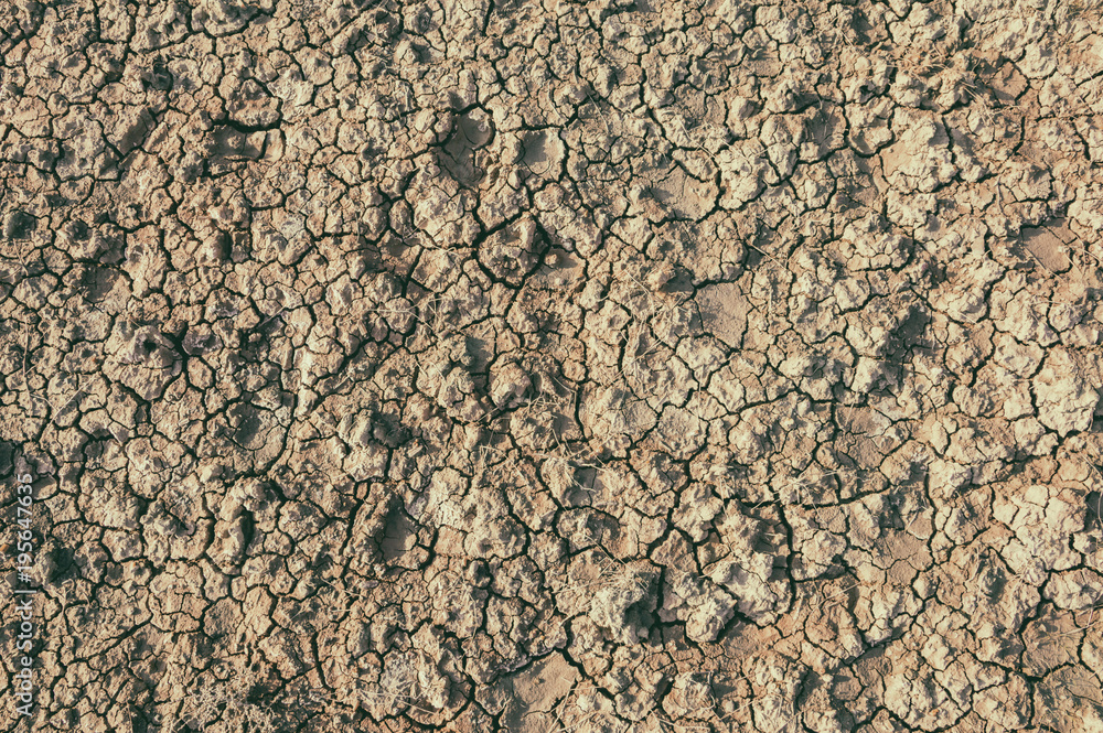 Background image of dry clay soil