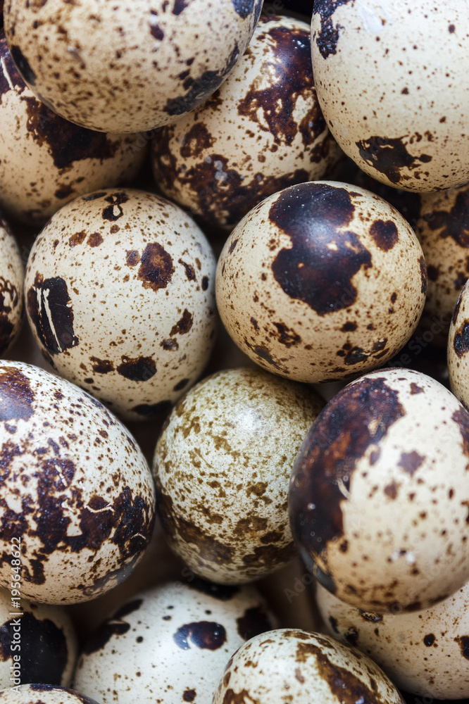 Obraz premium Quail eggs in a clay plate on a wooden background, a plate for storing quail eggs, a symbol of the Easter season. Healthy eating.