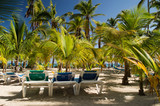 Sun beds amongst the palm trees with a clear blue sky and a white sandy beach in the Caribbean.