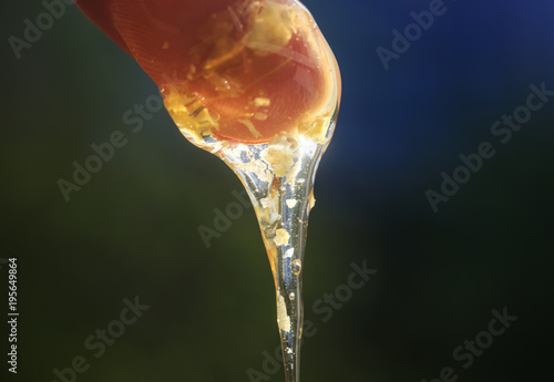 trickle of drops of liquid fresh Golden honey with pieces of propolis with dripping fingers photo