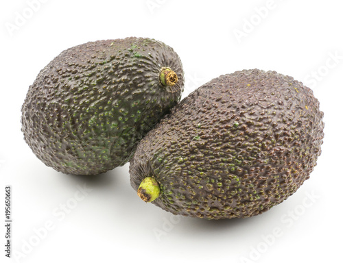 Two whole avocado isolated on white background ripe green brown alligator pear. photo