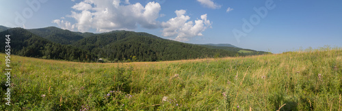 Beautiful summer panorama of lush vegetation in Altai Mountains