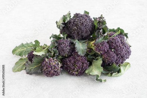 Closeup of Purple Sprouting Broccoli