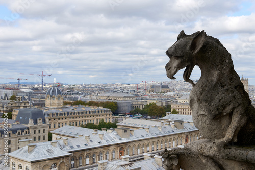 Autumn Paris Panorama, overlooking the roof of the Cathedral of Our Lady of Paris © Alvydas