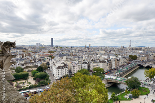 Autumn Paris Panorama  overlooking the roof of the Cathedral of Our Lady of Paris