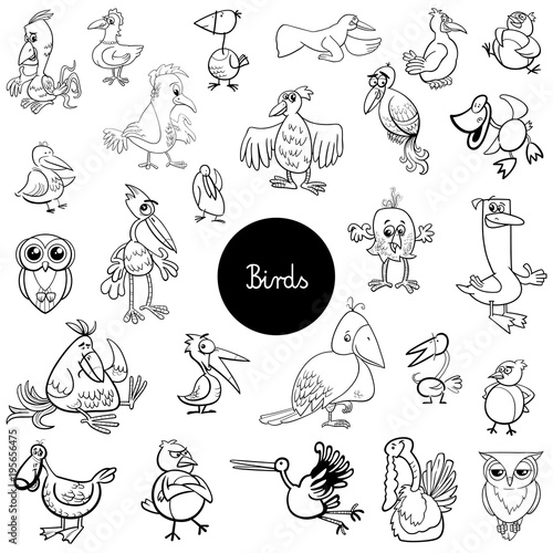 cartoon birds animals set coloring book