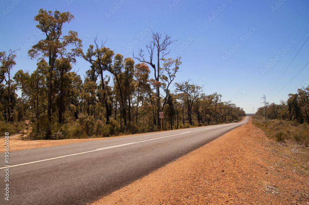 Straight road disappearing into the distance through a burnt forest Straight road disappearing into the distance through a burnt forest