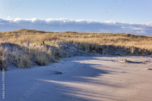 sand and dry grass