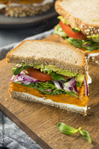 Healthy Homemade Vegetarian Veggie Sandwich