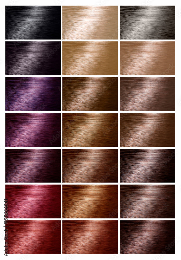 Color chart for hair dye. Tints. Hair color palette with a range of  swatches. Stock Photo | Adobe Stock