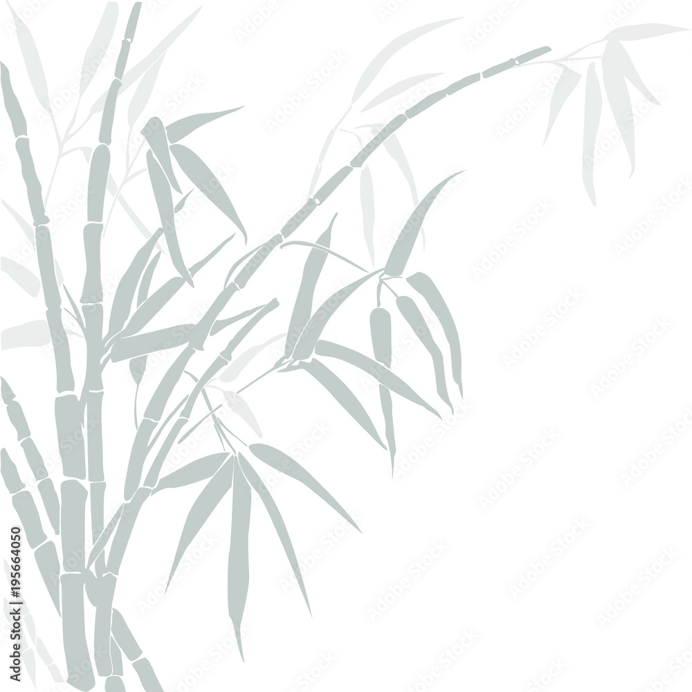 Naklejka Bambus. Wektorowa sylwetka bambus. Sylwetka bambusowe szarość kolory odizolowywający na bielu.