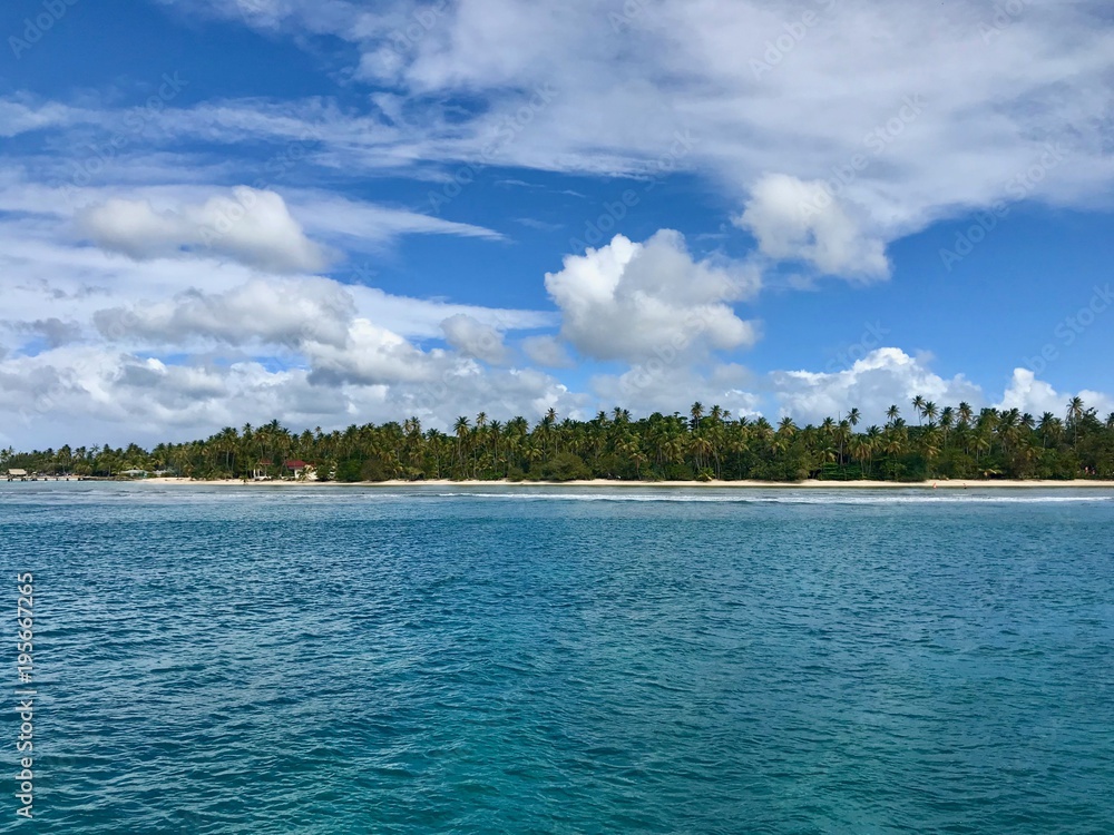 Beautiful view of the Caribbean island of Tobago (Trinidad - West Indies) from a boat: sand beach, palm trees, turquoise water and blue sky with white clouds