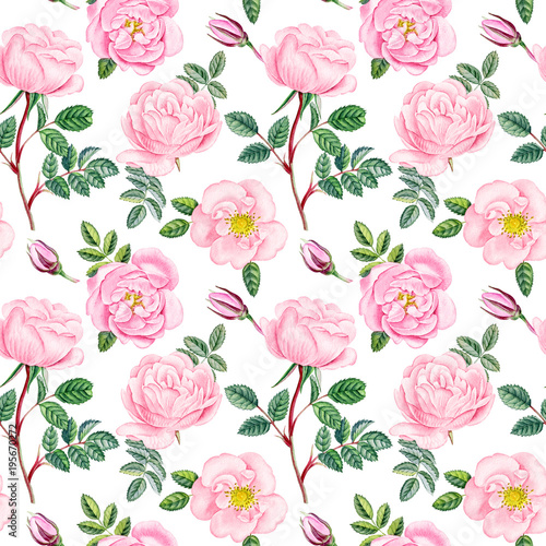Pink rose seamless pattern. Watercolor hand painted pink roses. Can be used as print, postcard, invitation, greeting card, packaging design, element design, textile, and so on, fabric, wrapping paper.
