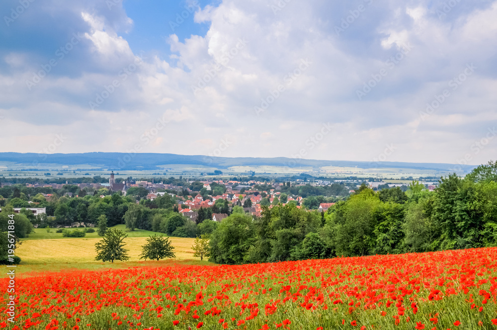 Klatschmohnfeld vor der Stadt Einbeck im Panoramablick