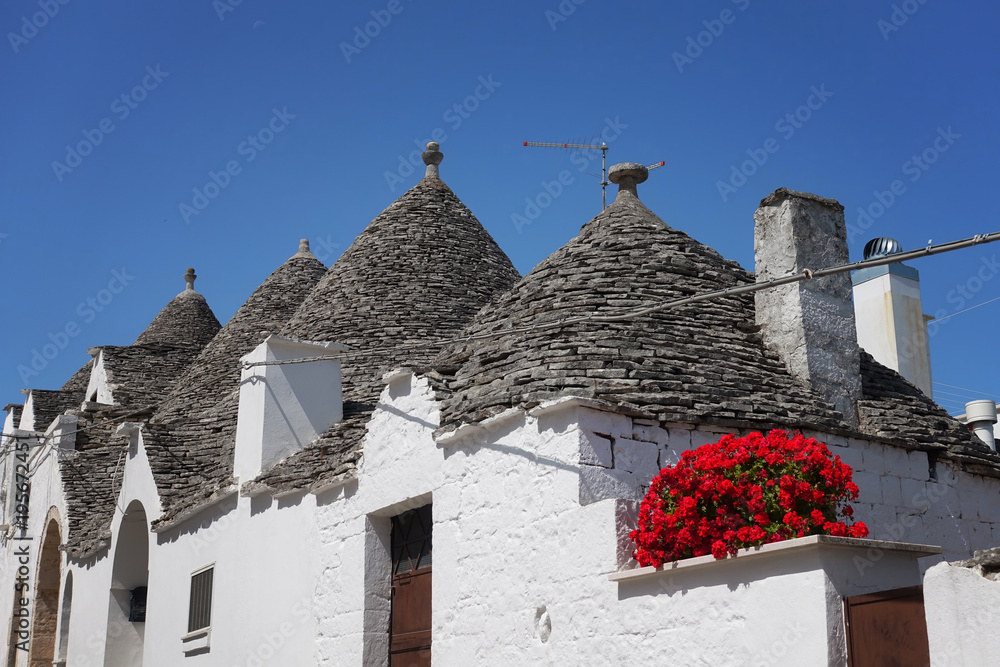Trulli houses in Alberobello with red geranium flowers
